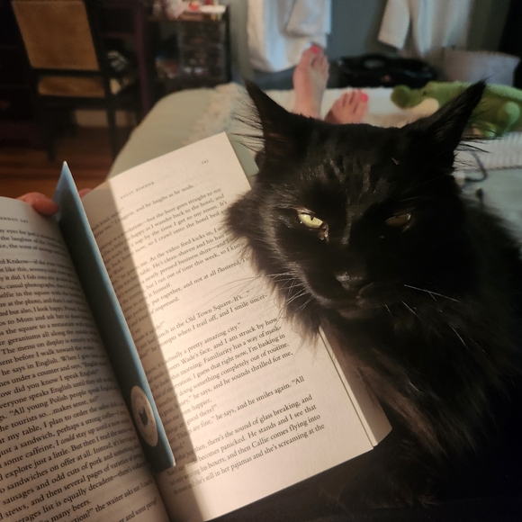 Meet your Posher, Angie - Picture 8 of 8